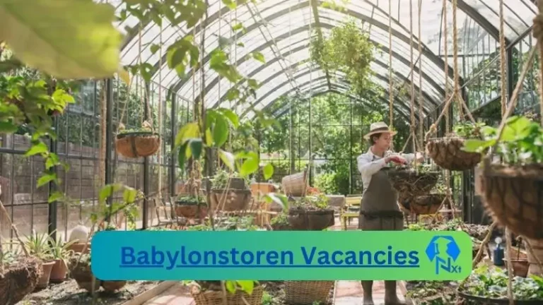 New X19 Babylonstoren Vacancies 2024 | Apply Now @babylonstoren.com for Social Media Manager, Video Editor Jobs