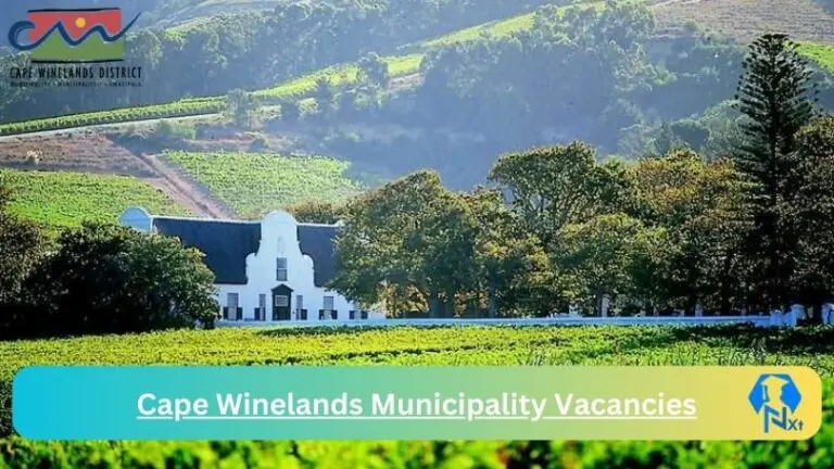 New Cape Winelands Municipality Vacancies 2024 @www.capewinelands.gov.za Careers Portal