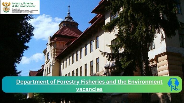 1x New Department of Forestry Fisheries and the Environment vacancies 2024 Apply@www.dffe.gov.za Career Portal