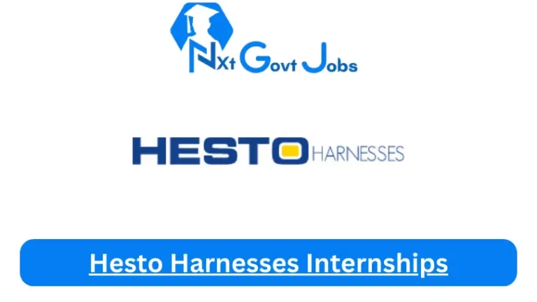 Hesto Harnesses Internship 2023 Active Internship Program