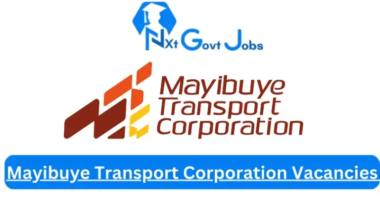 New Mayibuye Transport Corporation Vacancies 2024 @www.mtcec.co.za Careers Portal