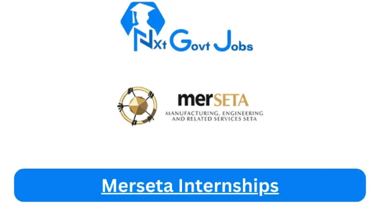 Merseta Internship 2023 Active Internship Program