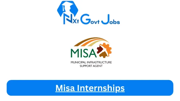 Misa Internship 2023 Active Internship Program