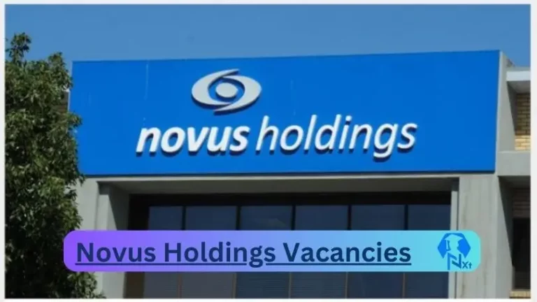 6X New Novus Holdings Vacancies 2024 @novus.holdings Career Portal