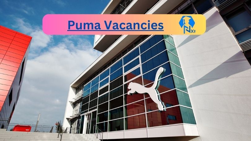 New X3 Puma Vacancies 2024 | Apply Now @za.puma.com for Supervisor, Admin Jobs