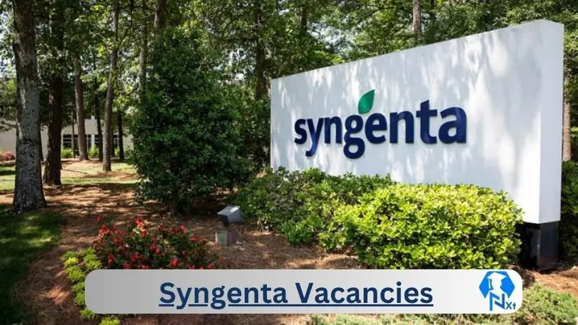 Syngenta-Vacancies 2024 - Nxtgovtjobs Syngenta Vacancies 2024 @www.syngenta.co.za Career Portal - New Syngenta Vacancies 2024 @www.syngenta.co.za Career Portal