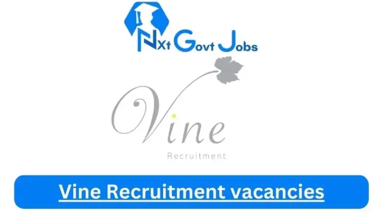 5x New Vine Recruitment Vacancies 2024 @www.vinerecruitment.co.za Career Portal