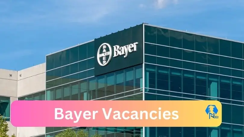Bayer-Vacancies 2024 - 1X Nxtgovtjobs Bayer Vacancies 2024 @www.bayer.com Career Portal - 1X New Bayer Vacancies 2024 @www.bayer.com Career Portal
