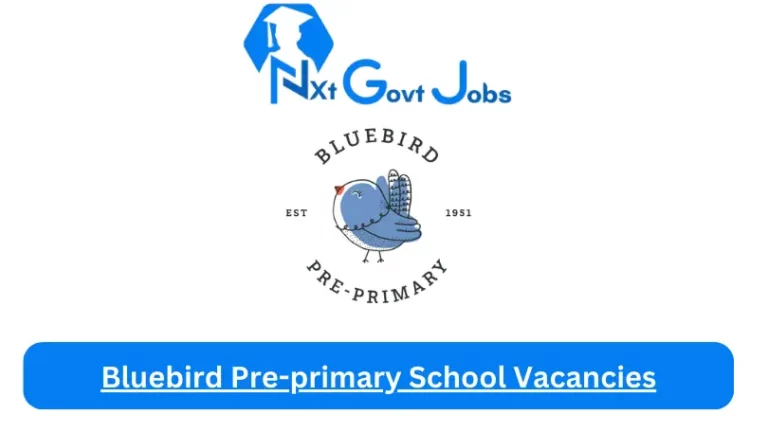 Bluebird Pre-primary School Vacancies 2024 @www.bluebird.org.za Careers