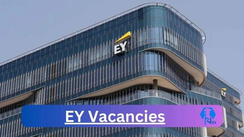 EY Vacancies 2024