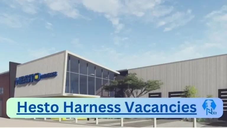 New Hesto Harness Vacancies 2024 @www.hesto.com Career Portal