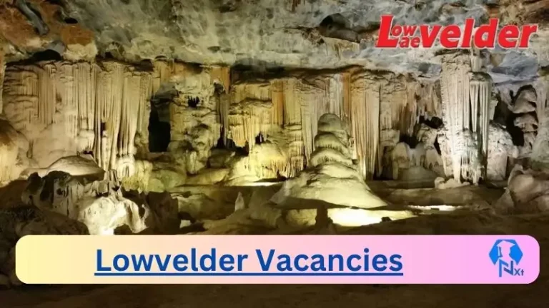 9X New Lowvelder Vacancies 2024 @lowvelder.co.za Career Portal