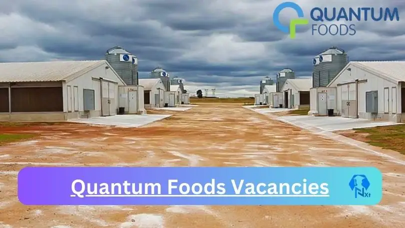 Quantum Foods Vacancies 2024 - 2x New Quantum Foods Vacancies 2024 @quantumfoods.co.za Career Portal