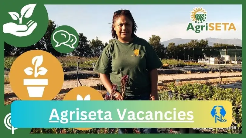 Agriseta Vacancies 2024