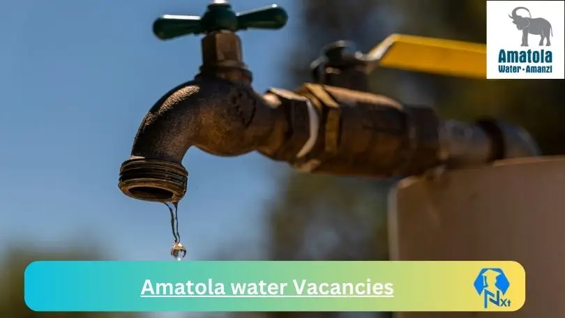 Amatola water Vacancies 2024