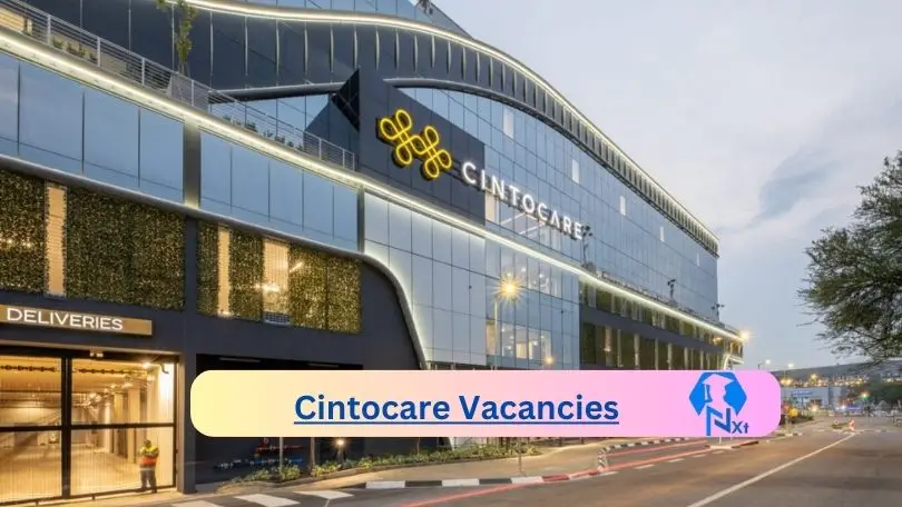 Cintocare Vacancies 2024 - New Opening Of Cintocare Vacancies 2024 @www.cintocare.com Careers
