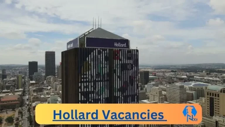 11X New Hollard Vacancies 2024 @www.hollard.co.za Career Portal