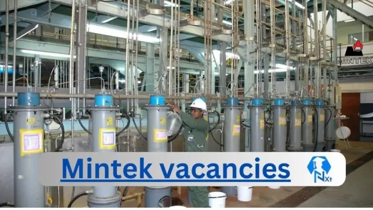 10X New Mintek Vacancies 2024 @www.mintek.co.za Career Portal
