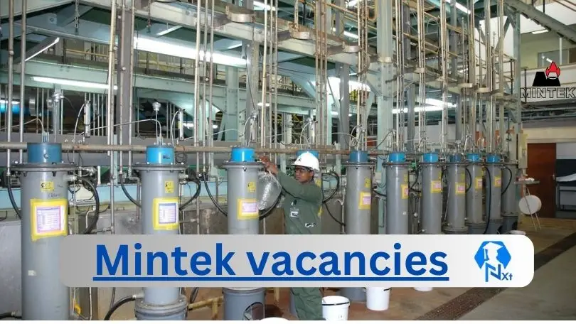 Mintek Vacancies 2024 - 2x New Mintek Vacancies 2024 @www.mintek.co.za Career Portal