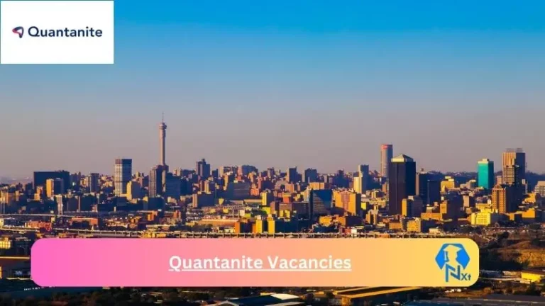 16X New Quantanite Vacancies 2024 @quantanite.com Career Portal