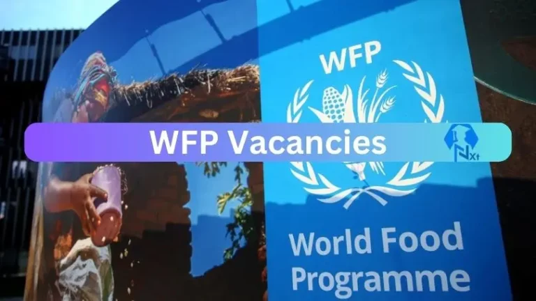 6X New WFP Vacancies 2024 @www.wfp.org Careers Portal